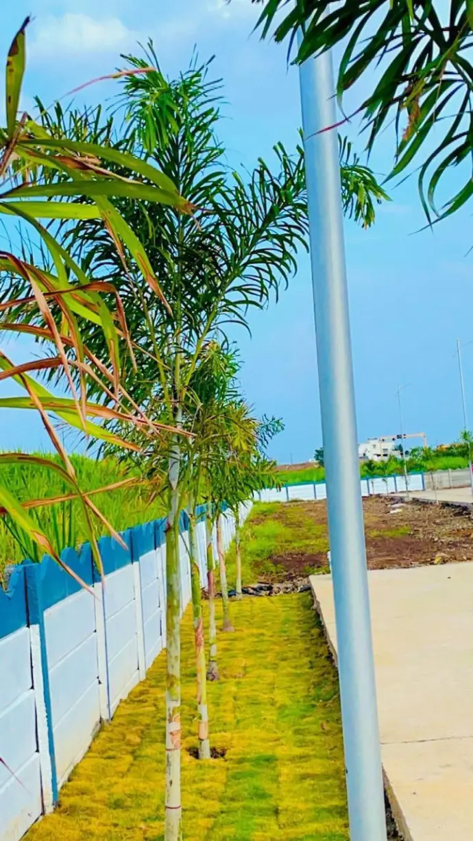 Plot for sale Uruli Kanchan